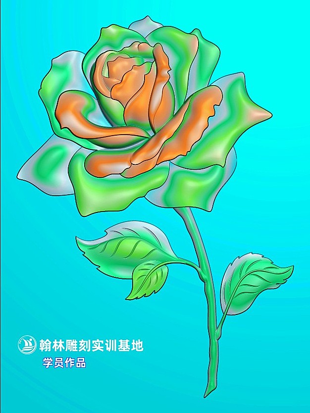 玫瑰花