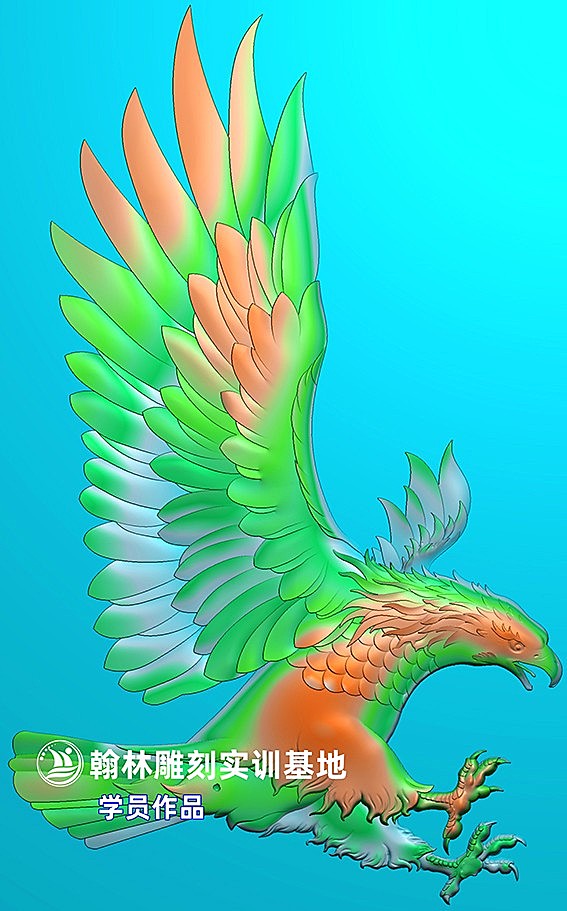 鹰