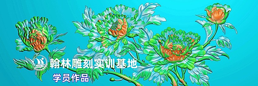 牡丹花大朵