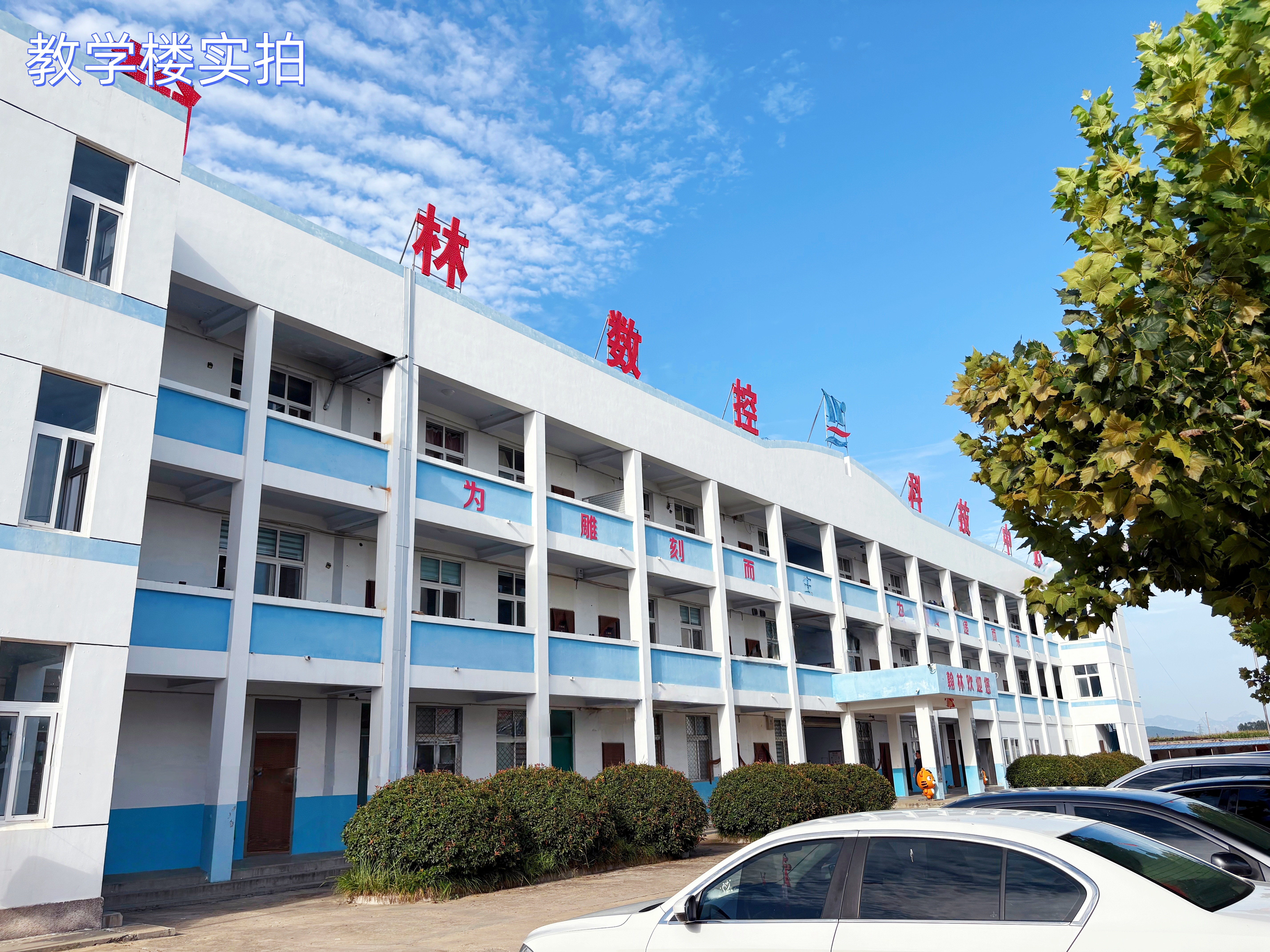 雕刻课程全覆盖，就业创业双保障